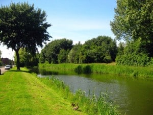 Uw makelaar Rozenburg