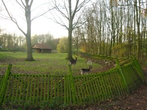 Herten Heenvliet