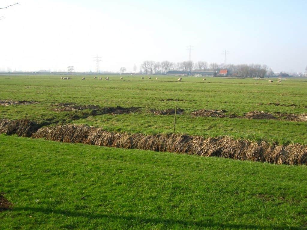 Polder Heenvliet