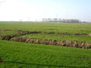 Polder Heenvliet