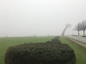 Bloem Schenkel in de Mist