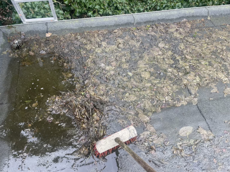 Plat dak schoonmaken: alles wat u moet weten