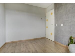 Theo Mann-Bouwmeesterstraat 8 SPIJKENISSE media 17