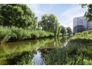 Uranusstraat 5 A SPIJKENISSE media 21