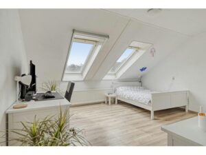Theo Mann-Bouwmeesterstraat 72 SPIJKENISSE media 18