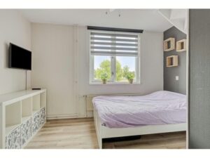 Theo Mann-Bouwmeesterstraat 72 SPIJKENISSE media 20