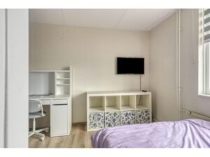 Theo Mann-Bouwmeesterstraat 72 SPIJKENISSE media 21