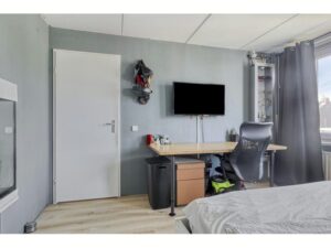 Kikkerveen 417 SPIJKENISSE media 15