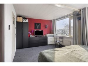 Ribesstraat 12 SPIJKENISSE media 23