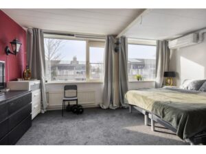 Ribesstraat 12 SPIJKENISSE media 22