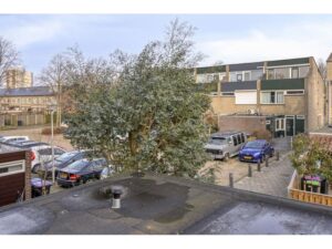 Ribesstraat 12 SPIJKENISSE media 44