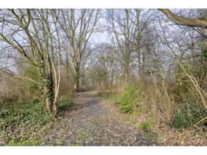 Ribesstraat 12 SPIJKENISSE media 48