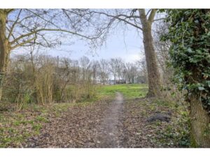 Ribesstraat 12 SPIJKENISSE media 49