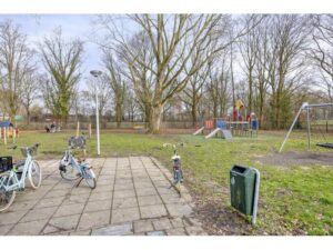 Ribesstraat 12 SPIJKENISSE media 50