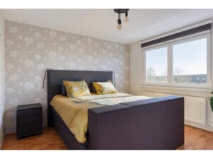Lekstraat 39 SPIJKENISSE media 15