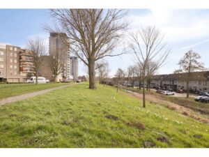 Lekstraat 39 SPIJKENISSE media 31