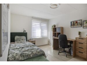 Pijnboomstraat 20 SPIJKENISSE media 16