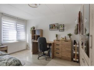 Pijnboomstraat 20 SPIJKENISSE media 17