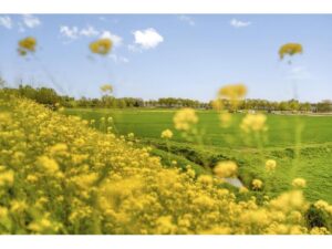 Indusstraat 66 SPIJKENISSE media 33