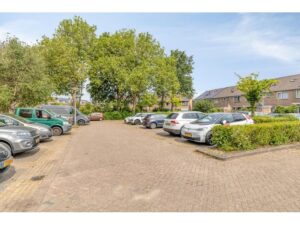 Kikkerveen 255 SPIJKENISSE media 32