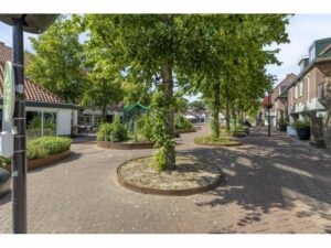 Snoekenveen 882 SPIJKENISSE media 31