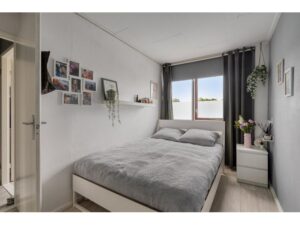 Kikkerveen 215 SPIJKENISSE media 15