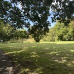 Park Braband in Spijkenisse