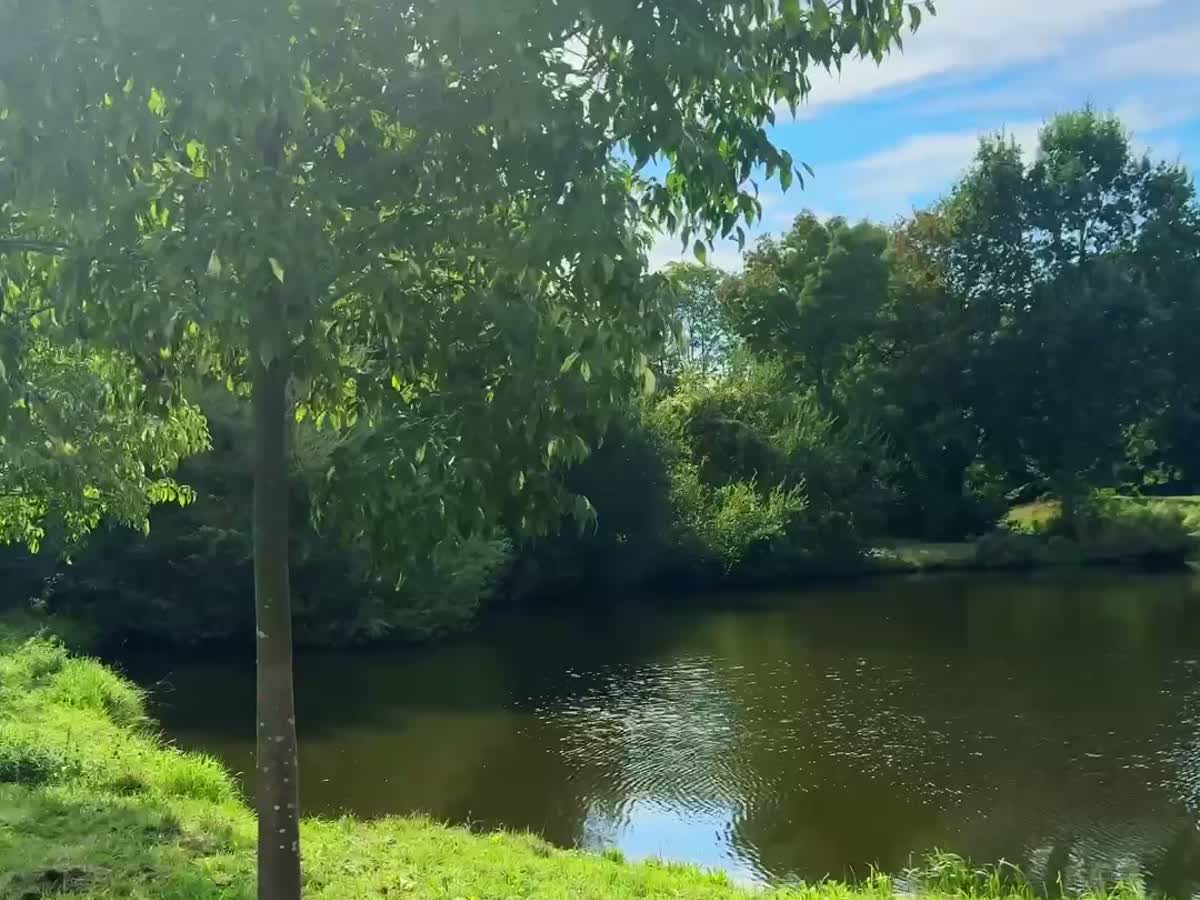 Dronebeeld van Park Braband in Spijkenisse