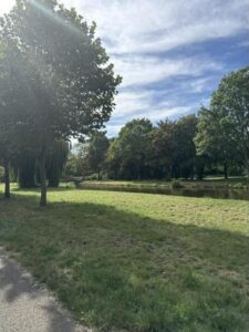 Avocadogaard 8 SPIJKENISSE media 33