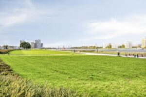 Maasboulevard 247 SPIJKENISSE media 48
