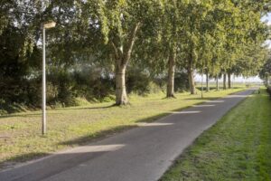 Golda Meirstraat 68 SPIJKENISSE media 22